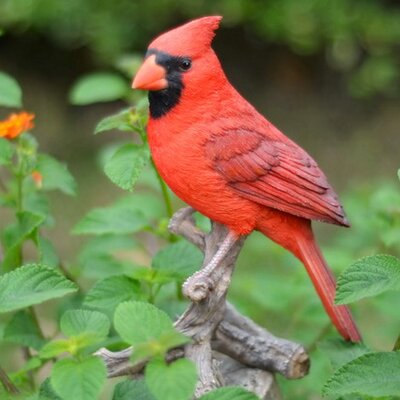 garden cardinal statue